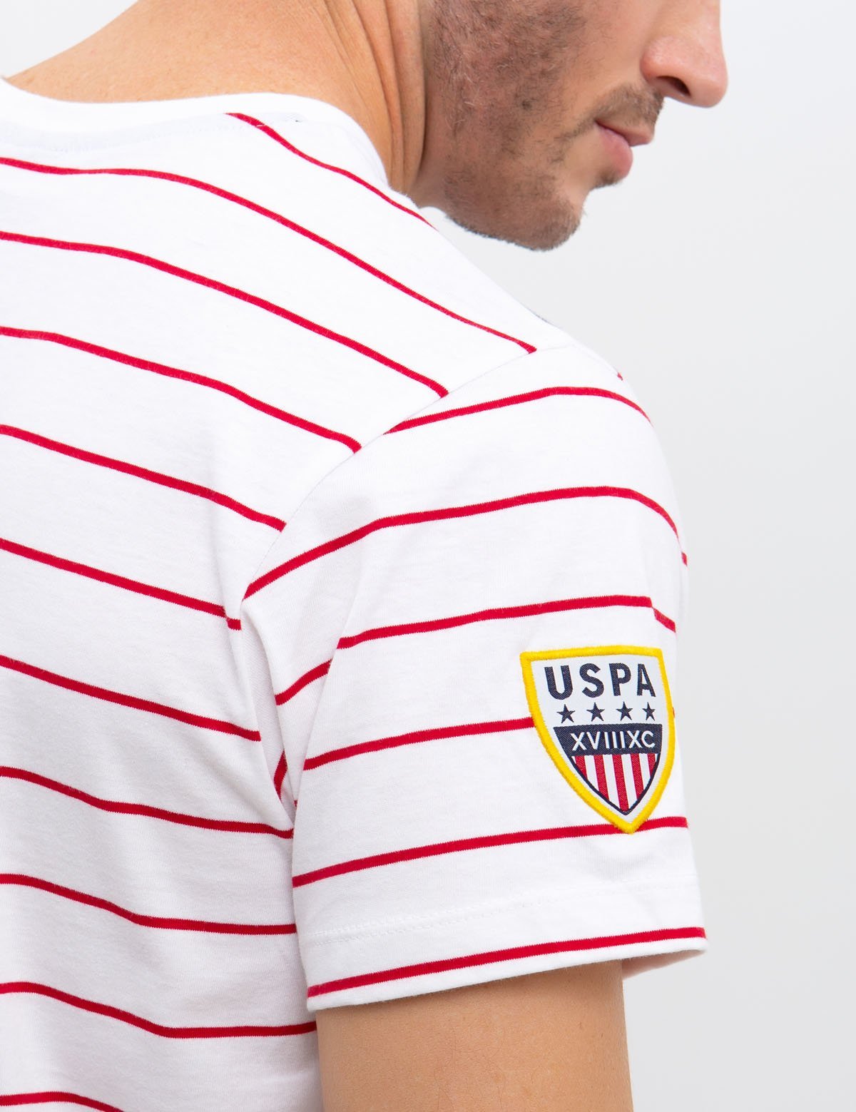 Diagonal Striped Cotton Crew Neck T-Shirt | Embroidered Logo