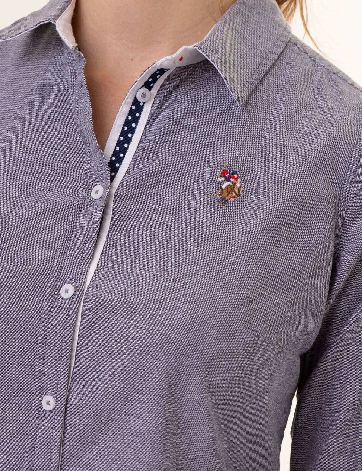 Multi-Tonal Oxford Shirt with Small Logo | Classic Button-Up