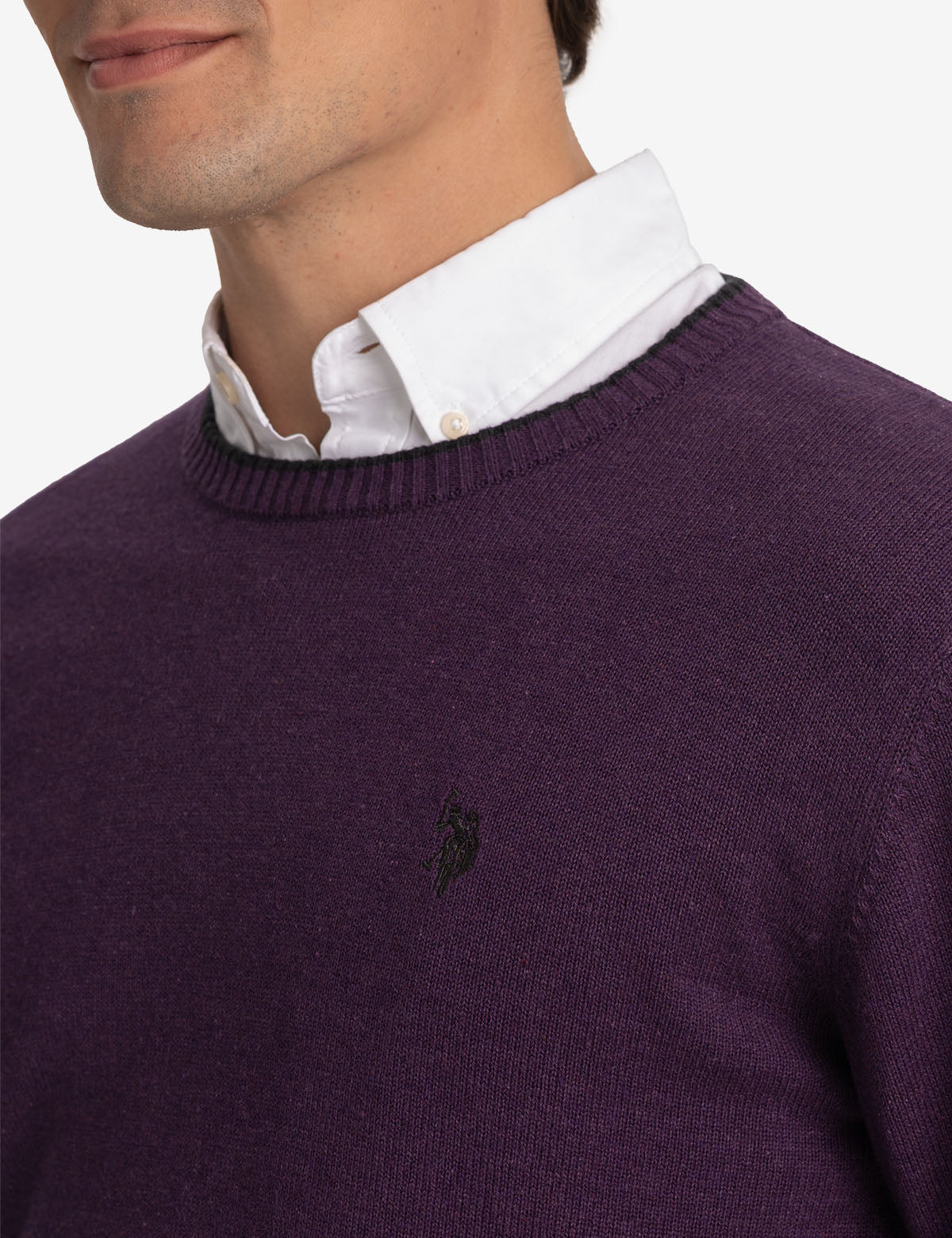 Classic Crew Neck Sweater with Embroidered Logo | Solid Style