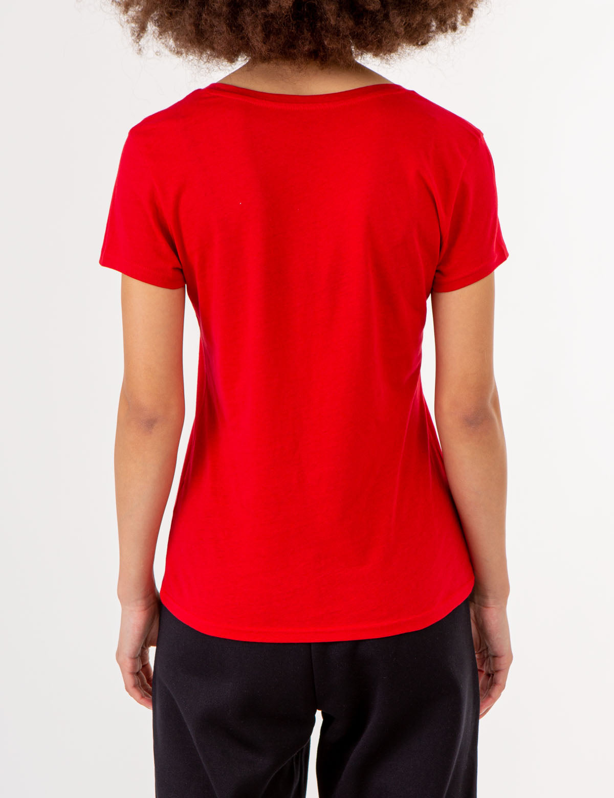 Men's V-Neck T-Shirt with Medallion Detail | USPA Collection